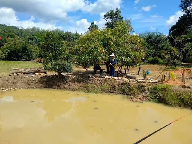 PERMAI ORCHARD OF PERIK - Image 1