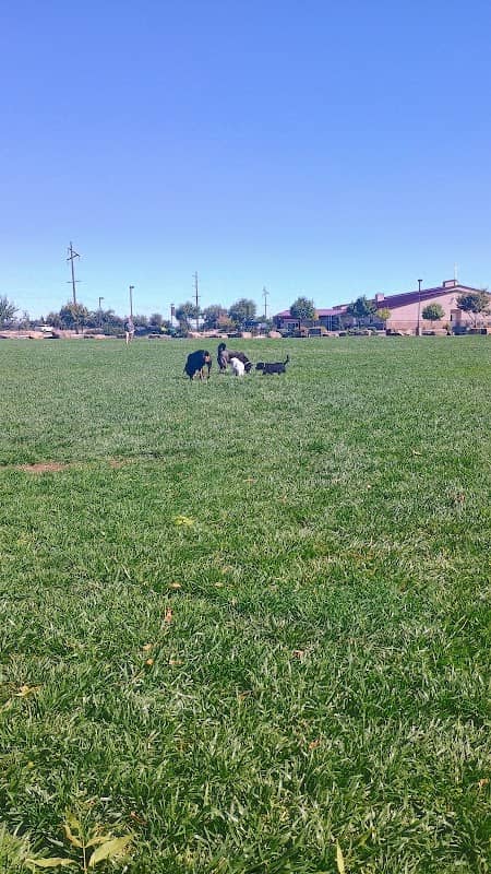 Highland Baptist Dog park - Image 1