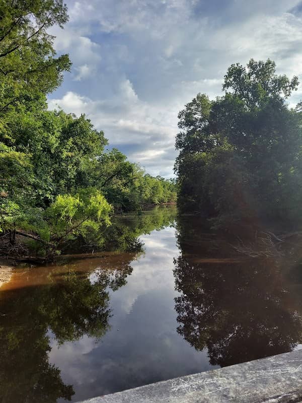 Florida River Island - Image 2