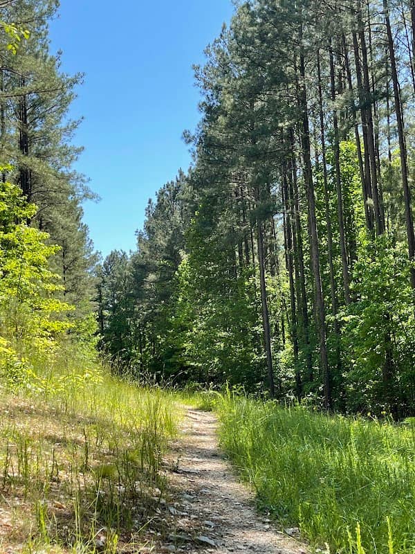 Walnut Creek Blue Trail - Trailhead - Image 1