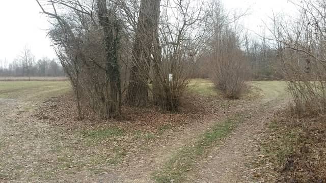 Palù - Image 1