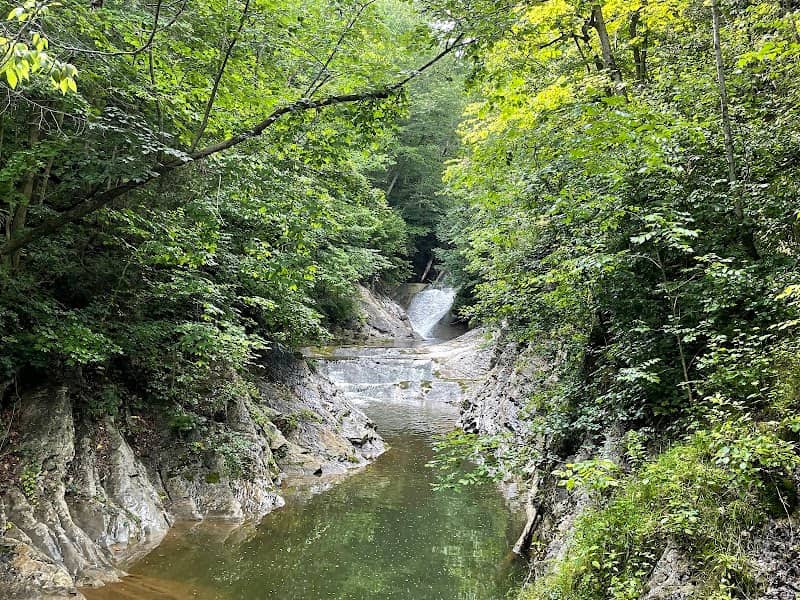 Natural Bridge State Park - Image 1