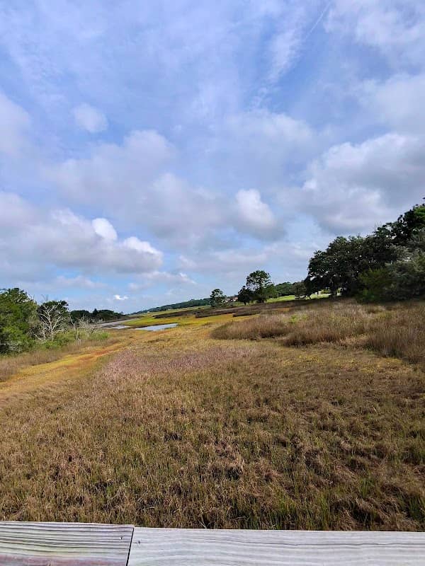 Amelia River To Sea Trail - Image 2