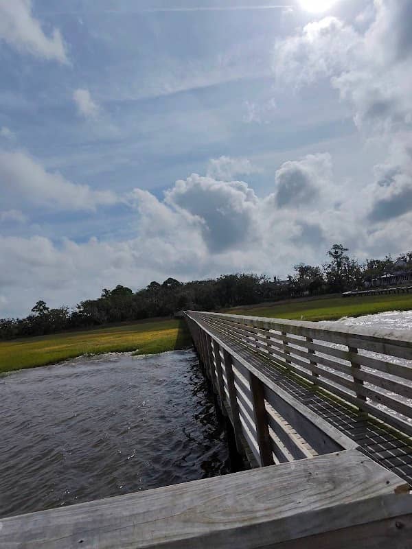 Amelia River To Sea Trail - Image 1
