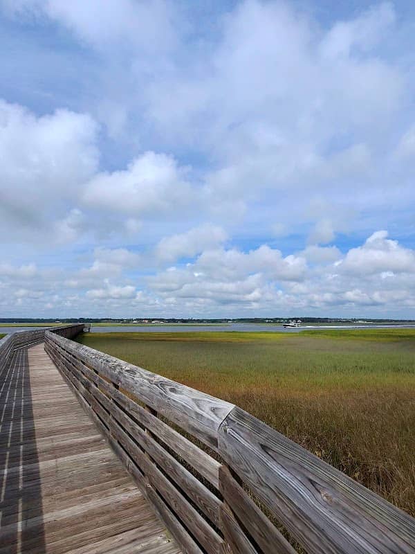 Amelia River To Sea Trail - Image 3