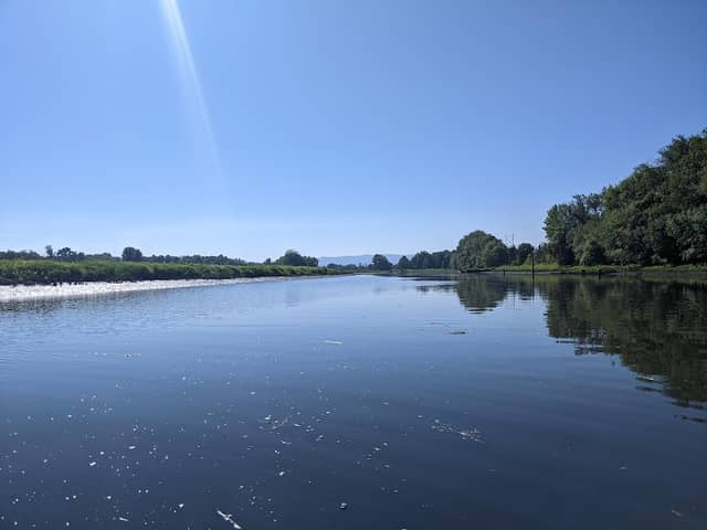 Scappoose Bay Marina - Image 1