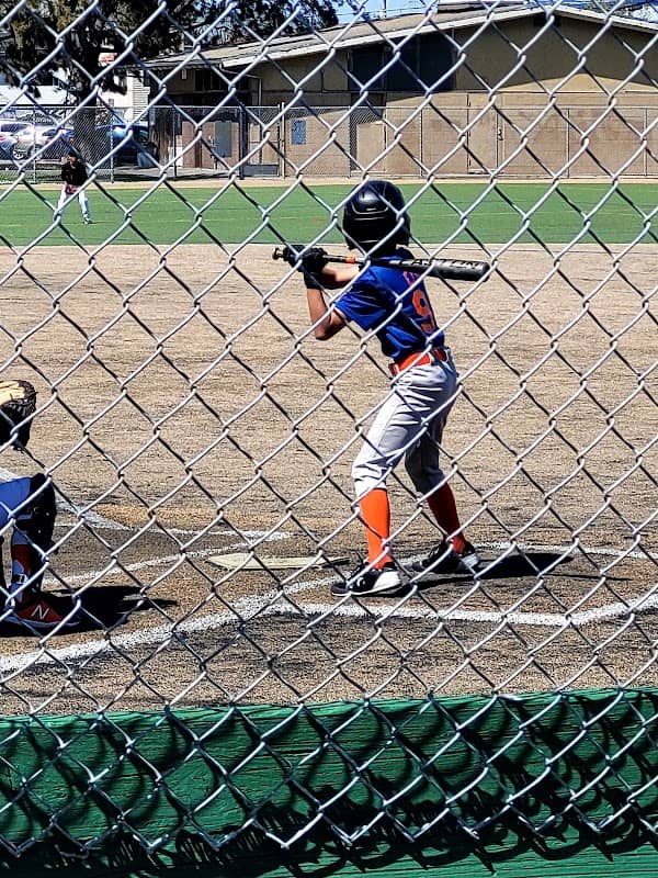 Lions Park - Image 1