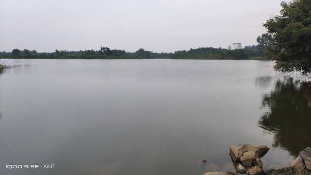 Mallapura lake - Image 1