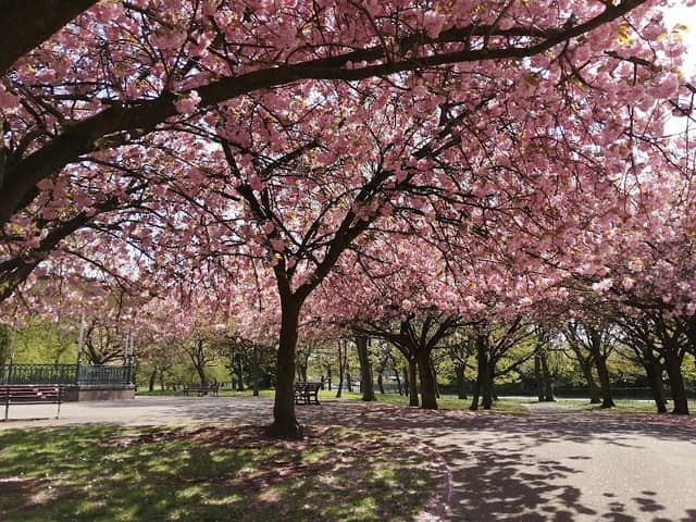 East Park - Image 2