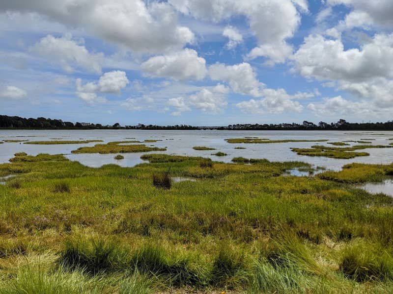 Upton Country Park - Image 1
