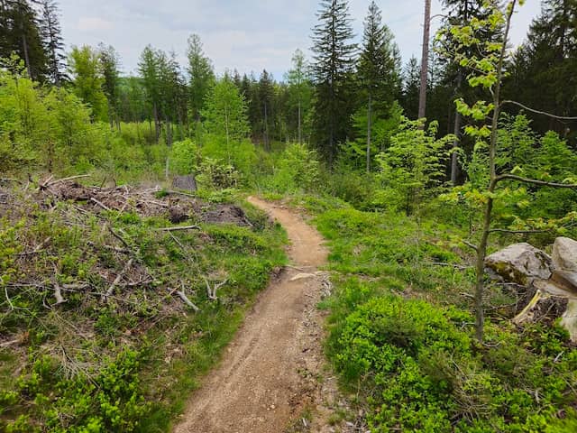 Pasmo Rowerowe OLBRZYMY - Image 1