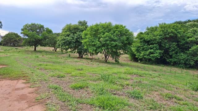 Parque Ecológico do Agudo Romão 2 - Image 1