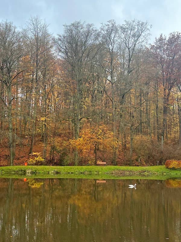 Small Lake - Image 1
