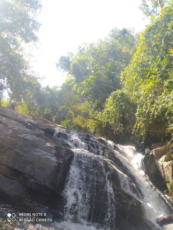 Cachoeira Veridiana - Image 1
