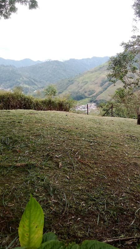 El Mango - Image 1