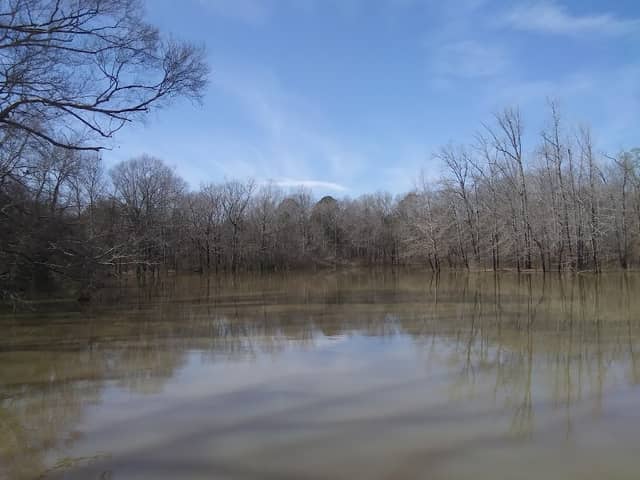 Beech River - Image 1