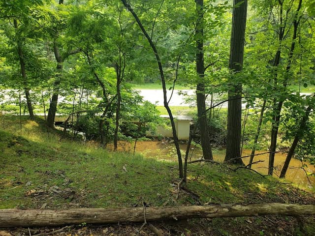 Quiet Wooded Hill - Image 2