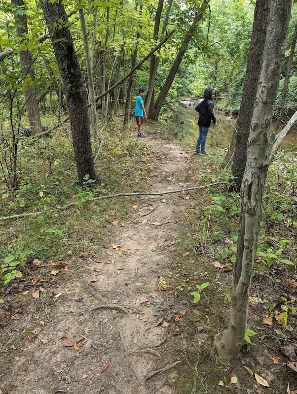 Quiet Wooded Hill - Image 3
