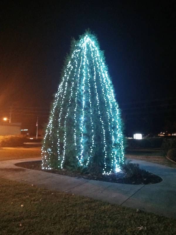 Veterans Park - Image 2