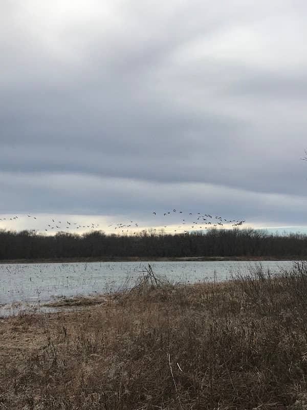 State Line Pond Trail - Image 2