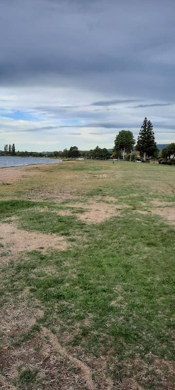 Waingaehe Reserve - Image 2