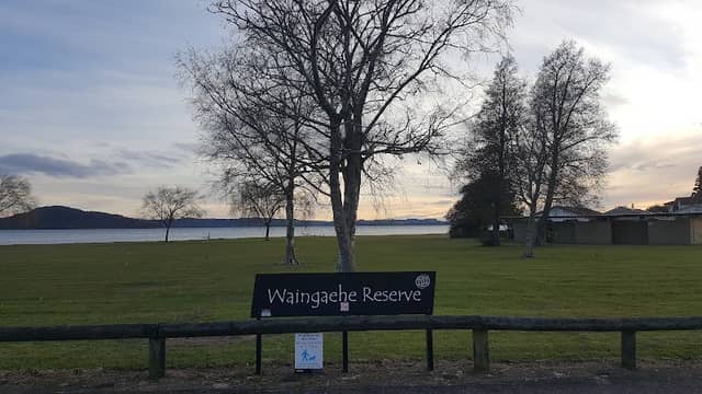 Waingaehe Reserve - Image 1