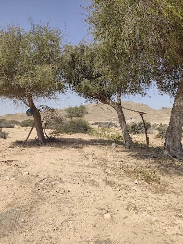 Camping spot - Image 1
