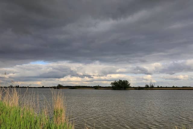 Vogelkijkhut De Grote Zilverreiger - Image 2