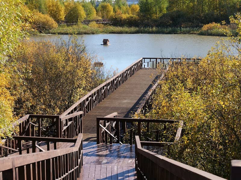 Park "Dolgiye Prudy" - Image 2