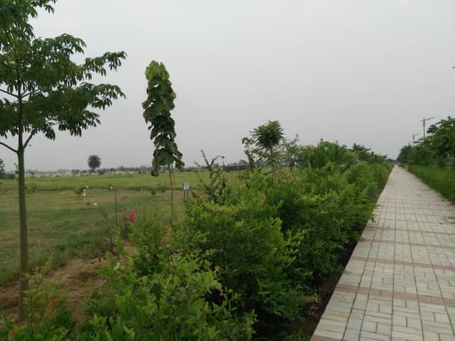 SNU, Biodiversity Park - Image 2
