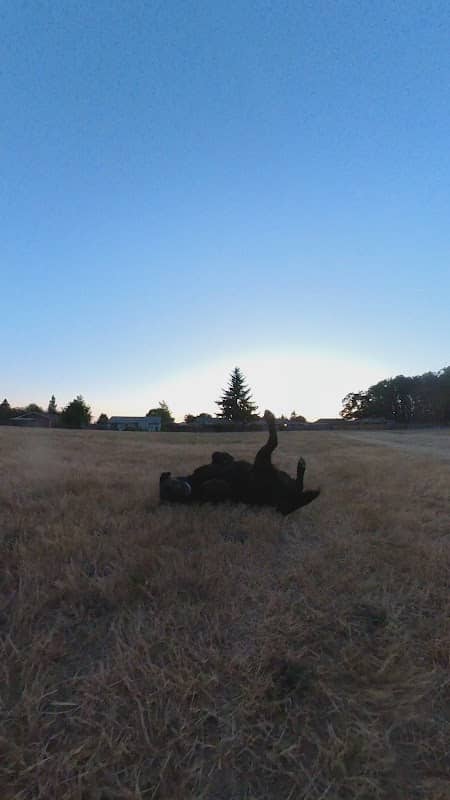Bohlander Park - Image 1