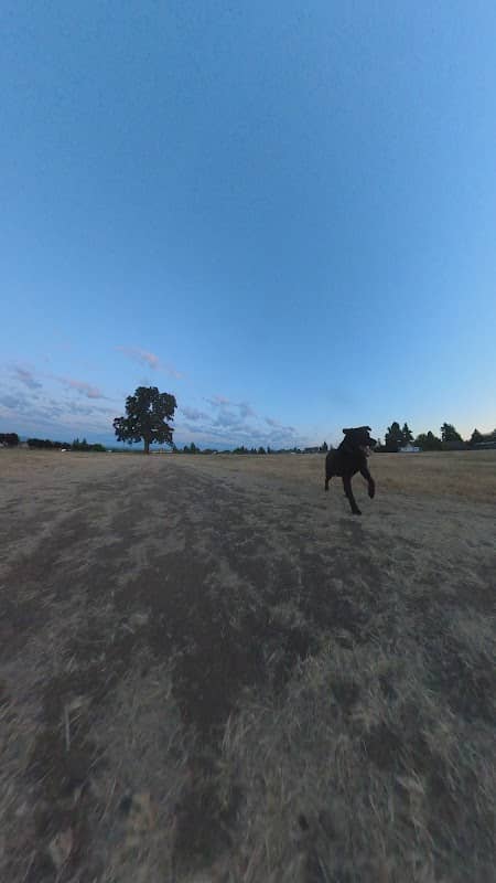 Bohlander Park - Image 2