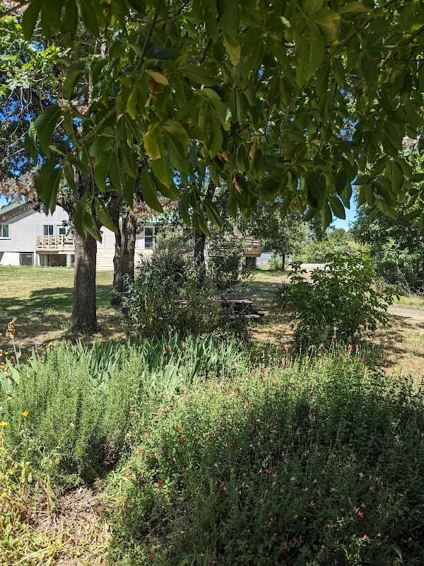Sebastopol Peace Garden - Image 1