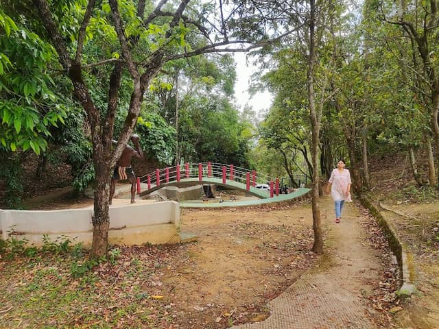 City Forest - Image 2