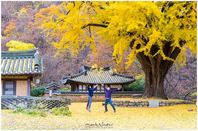 Ungok Seowon - Image 2