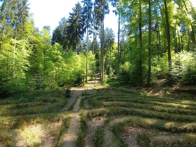 Walderlebnispfad Rollberg - Image 1