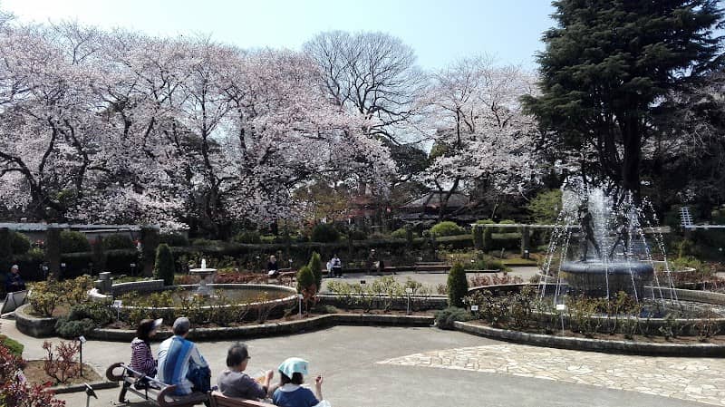 Satomi Park - Image 1