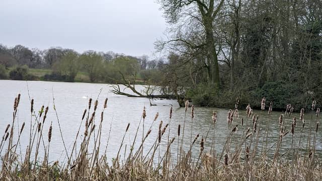 Draycote Bird Hide - Image 1