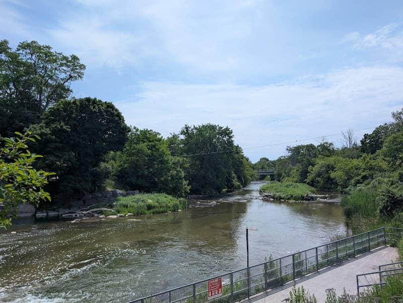 Port Hope Salmon Return Watch - Image 2