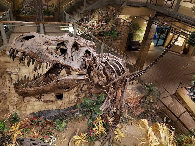 Glendive Dinosaur and Fossil Museum - Image 1