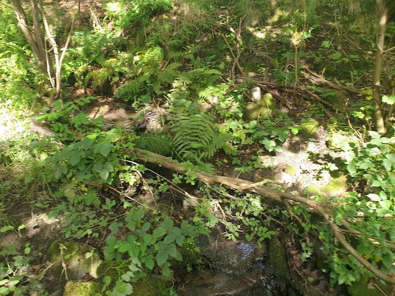 The Steps - Image 2