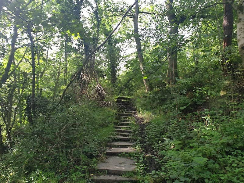 The Steps - Image 1