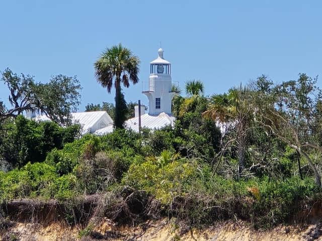 Captain Doug’s Cedar Key Tours - Image 1