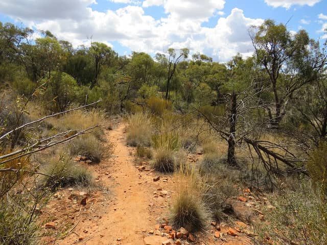 Quorn Native Flora Reserve - Image 1