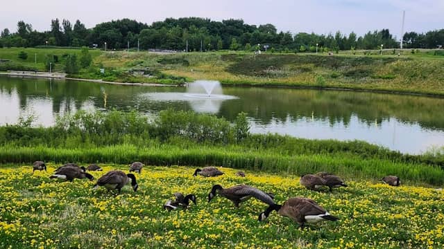 BEAUTIFUL MILTON - Image 1