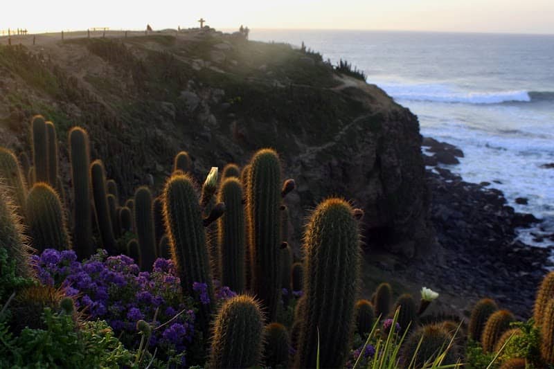 Punta de Lobos, Pichilemu Park - Image 3