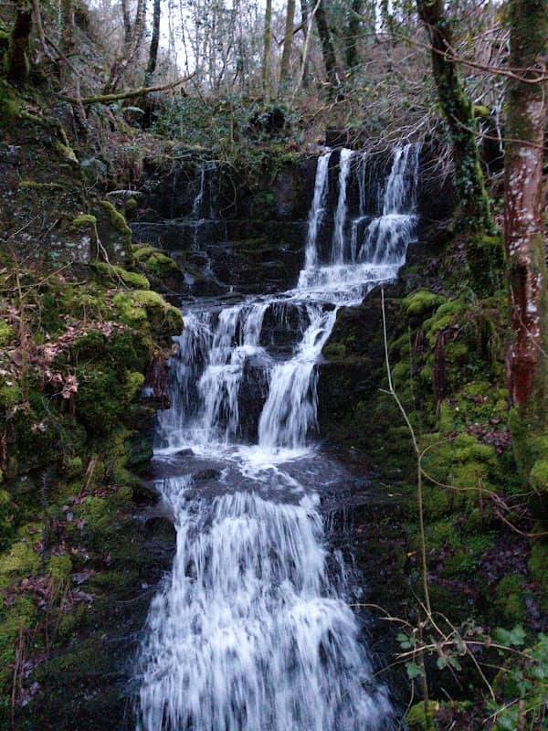 River Tawe - Image 1