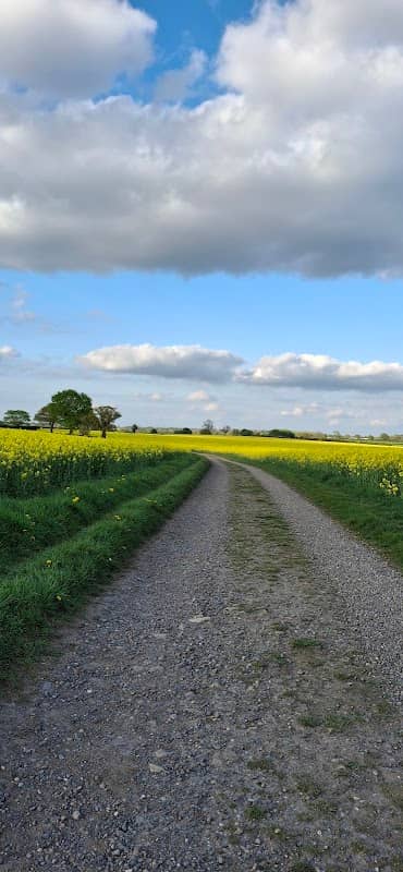Footpath to Watling Street - Image 2