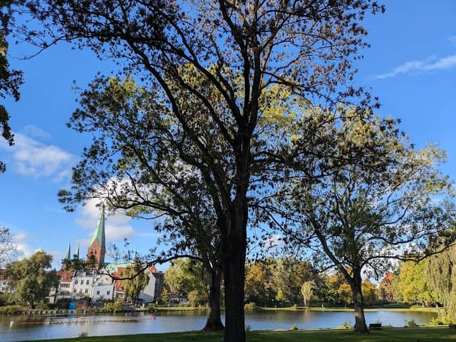 Mühlenteich - Image 1