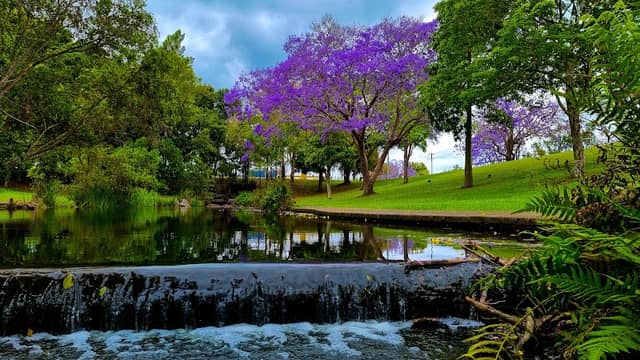 Jacaranda Park - Image 2